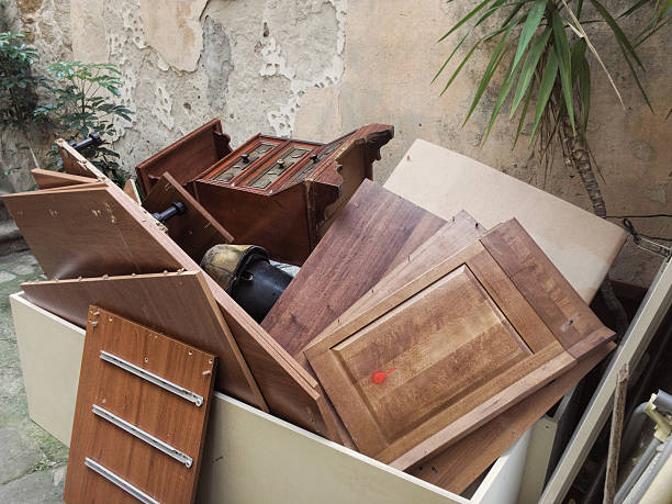 Yard Cleanup Services in Irvington, KY